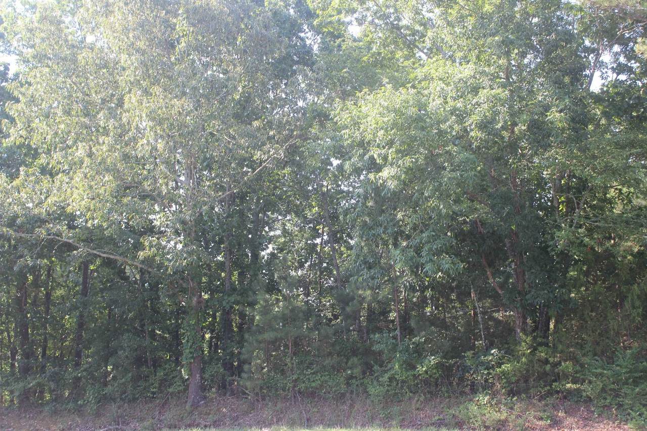 0 Hwy 31 - Photo 1