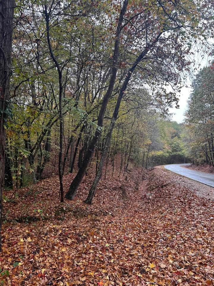 0 Co Rd 126 - Photo 1