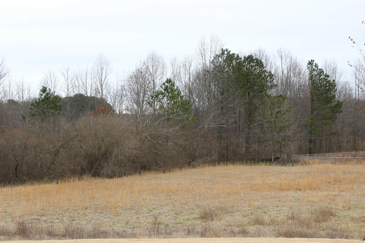 0 Alabama Hwy 157 - Photo 1