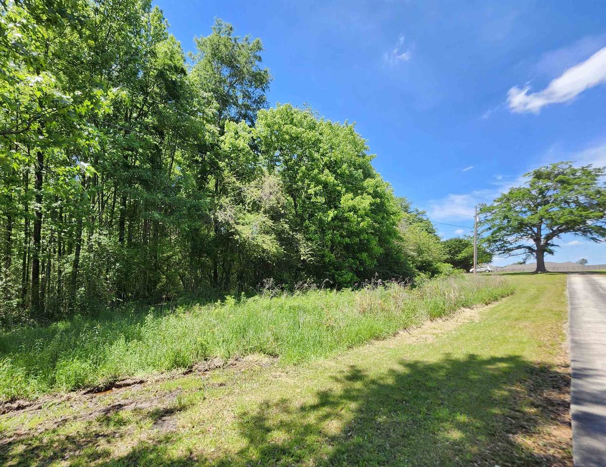 TBD Leeman Dr - Photo 1