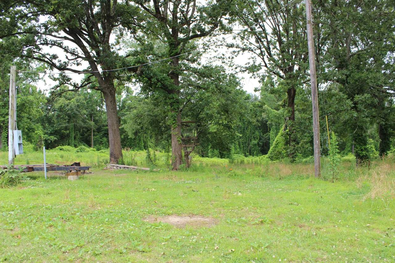 0 Co Rd 703 - Photo 1