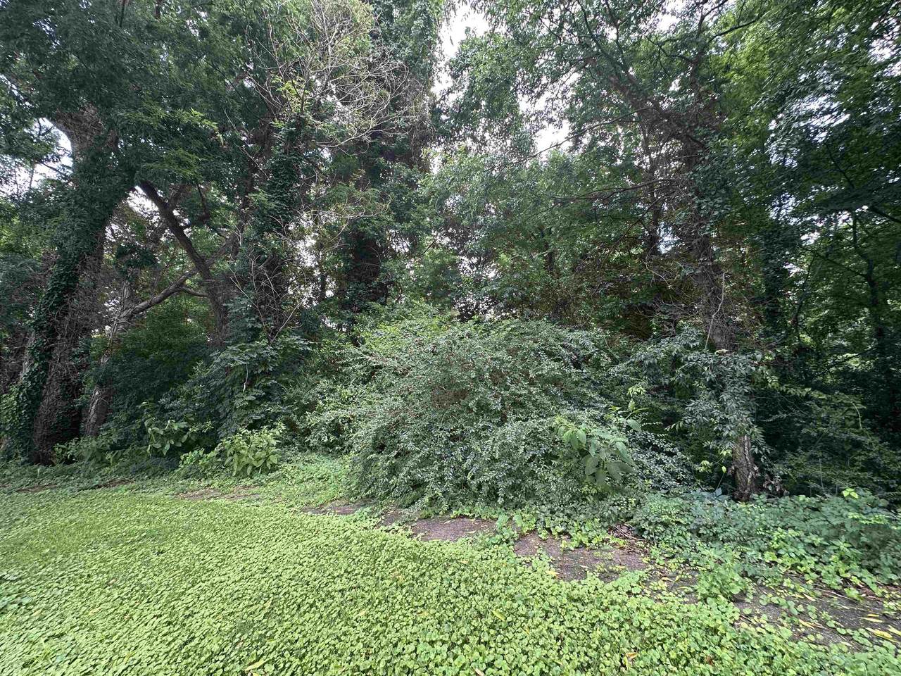 0 Riverbluff Ct - Photo 1