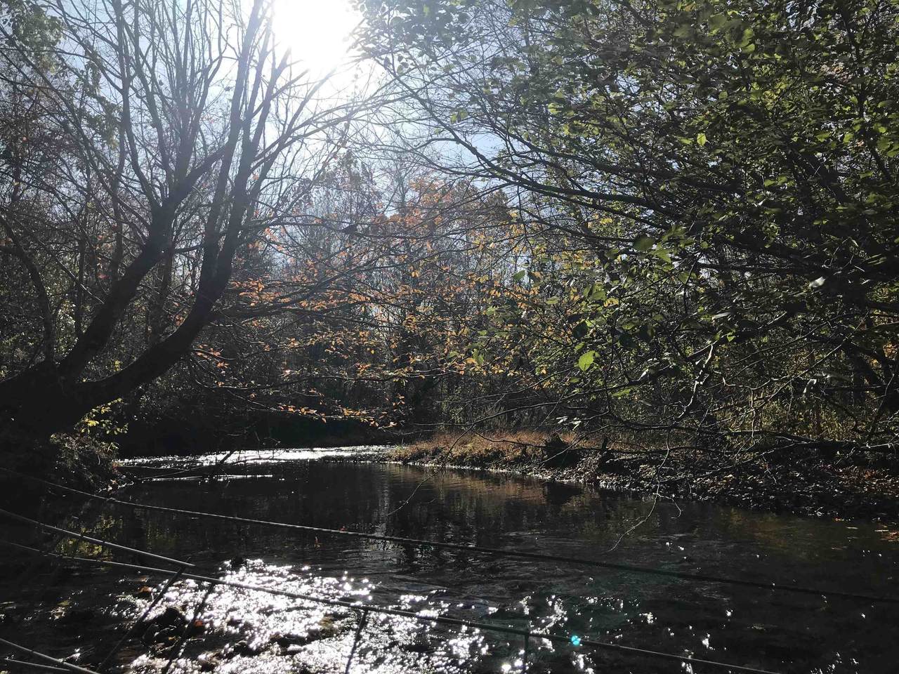 00 Old Weatherford Creek Rd - Photo 1