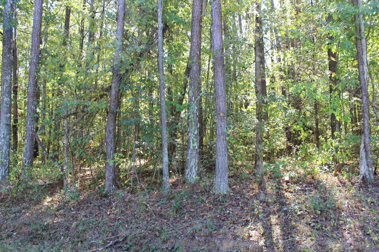 0 Co Rd 134 - Photo 1