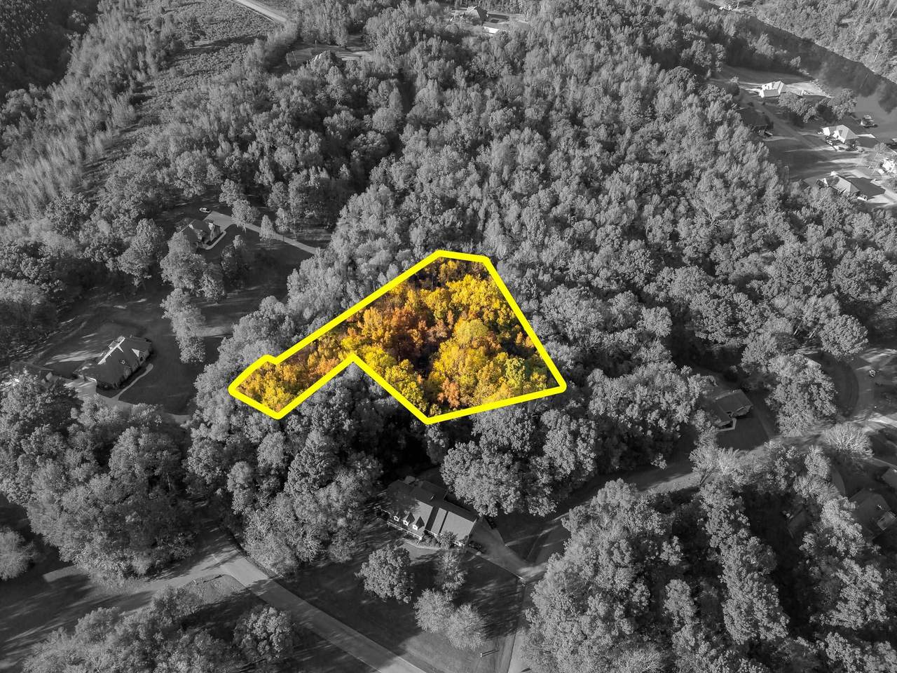 0 Heron Cv Rd - Photo 1