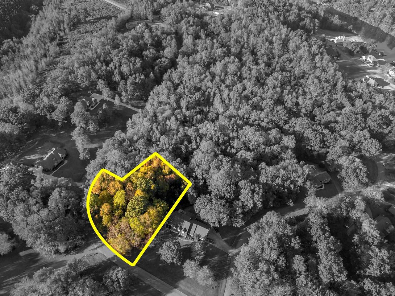 645 Turtle Cv - Photo 1