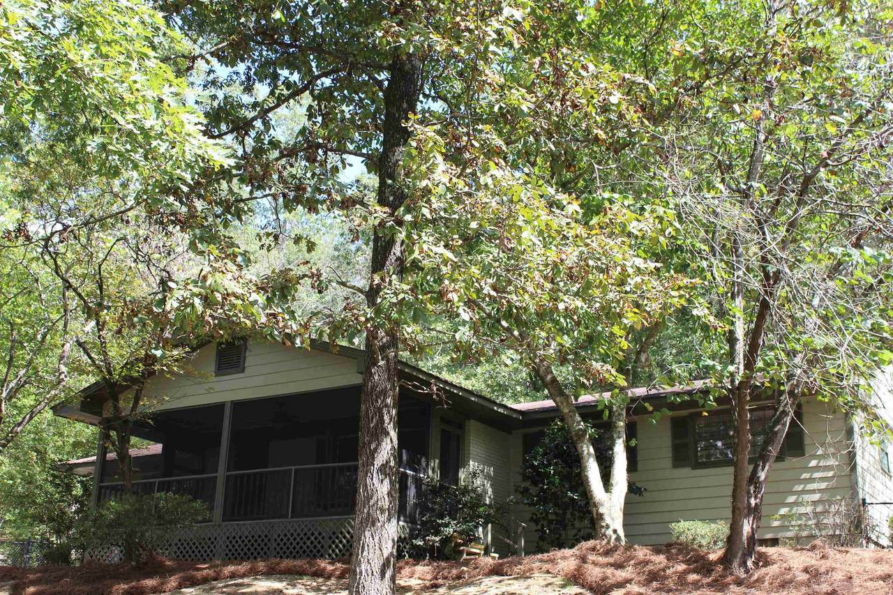 532 Co Rd 1169 - Photo 1