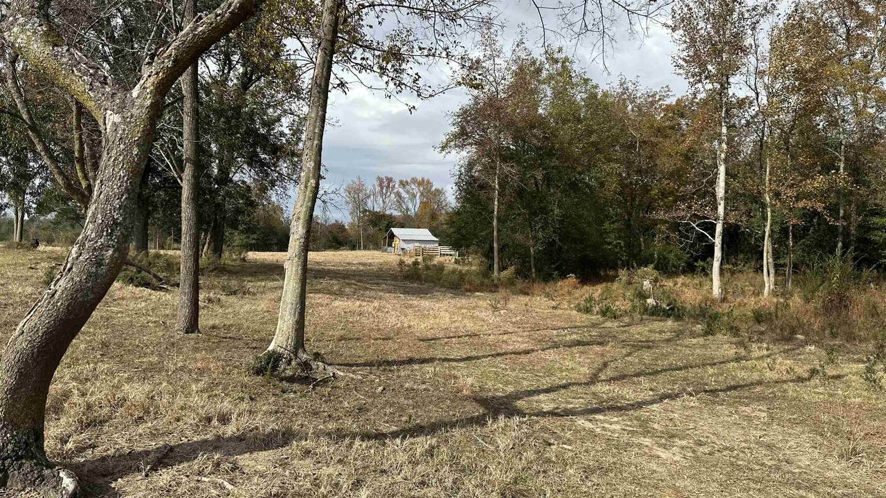 TBD Mt Carmel Rd - Photo 1