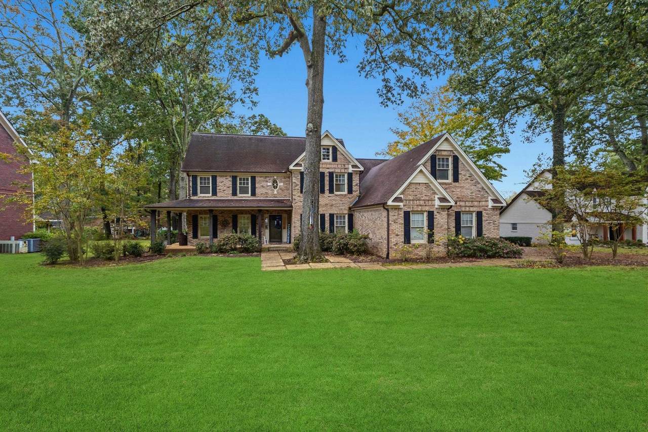 105 Willow Oak Dr - Photo 1