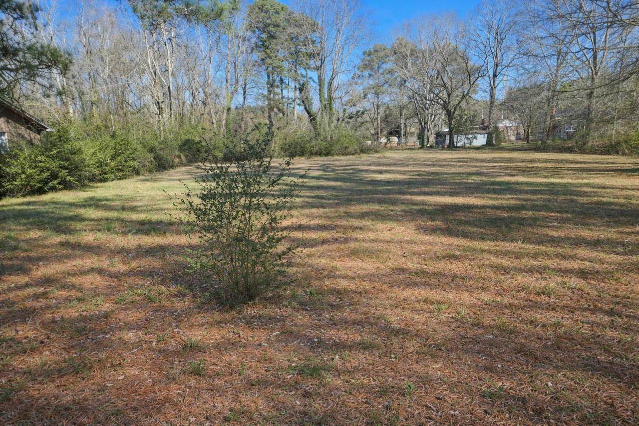 524 Roebuck Forest Dr - Photo 1