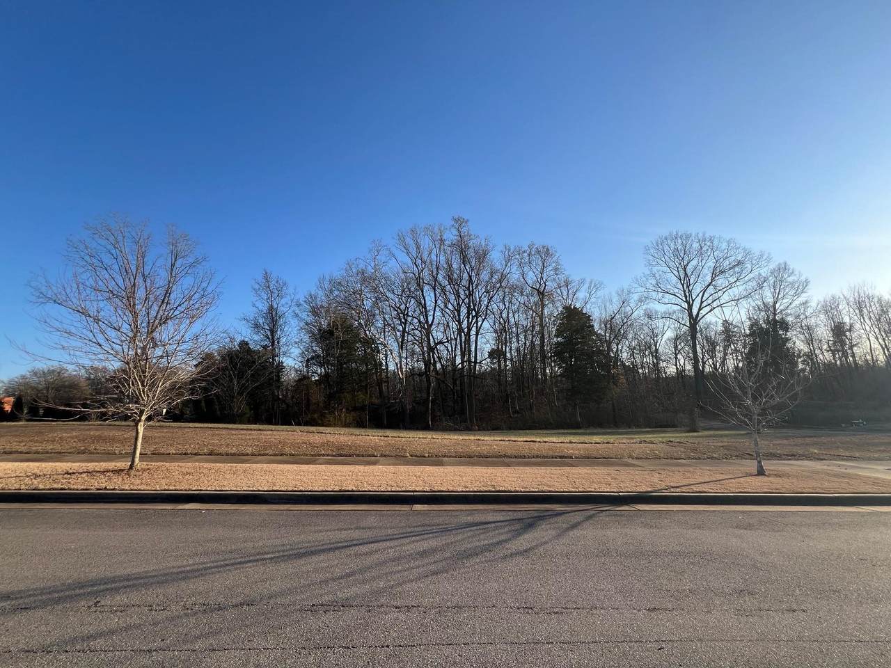 109 Willowbrook Dr - Photo 1
