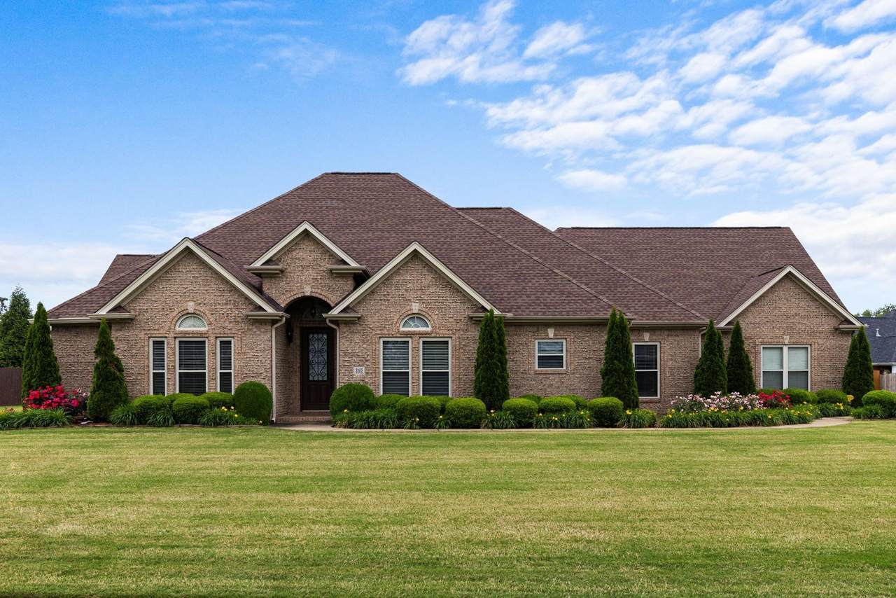 3105 Mcguire Dr - Photo 1