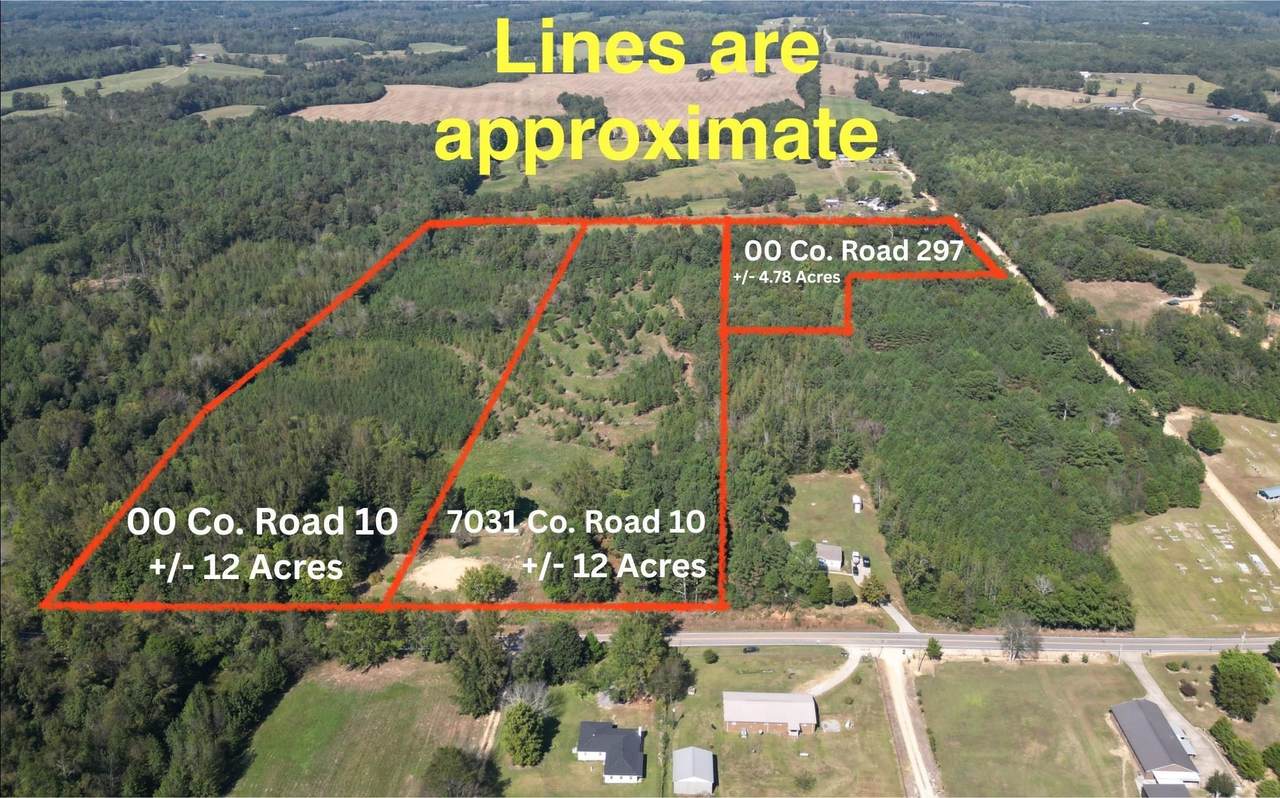 7031 Co Rd 10 - Photo 1
