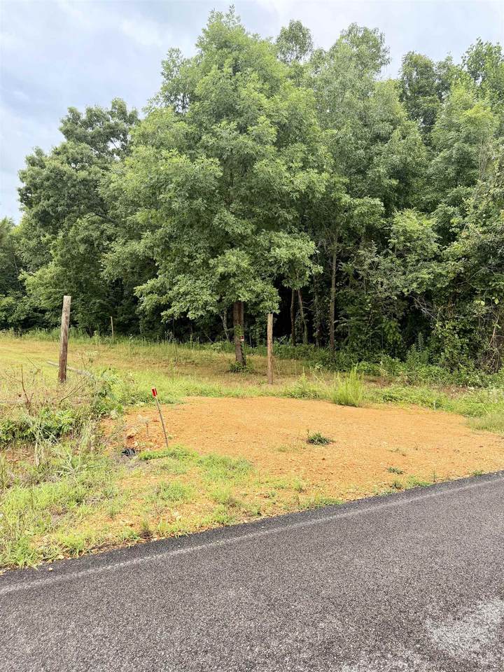 1022 Co Rd 545 - Photo 1