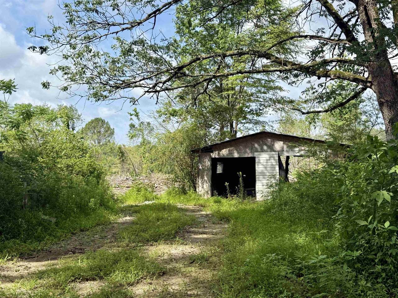 10881 Hwy 17 - Photo 1