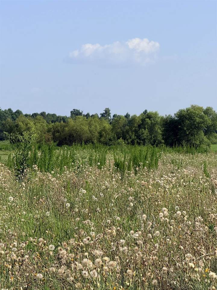 https://bt-photos.global.ssl.fastly.net/shoals/1280_boomver_1_529786-1.jpg
