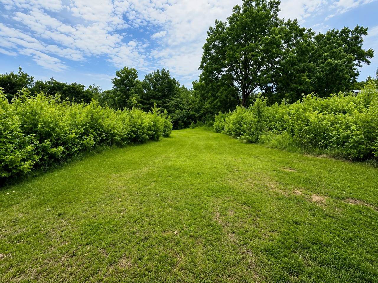  Lincoln Ln - Photo 1