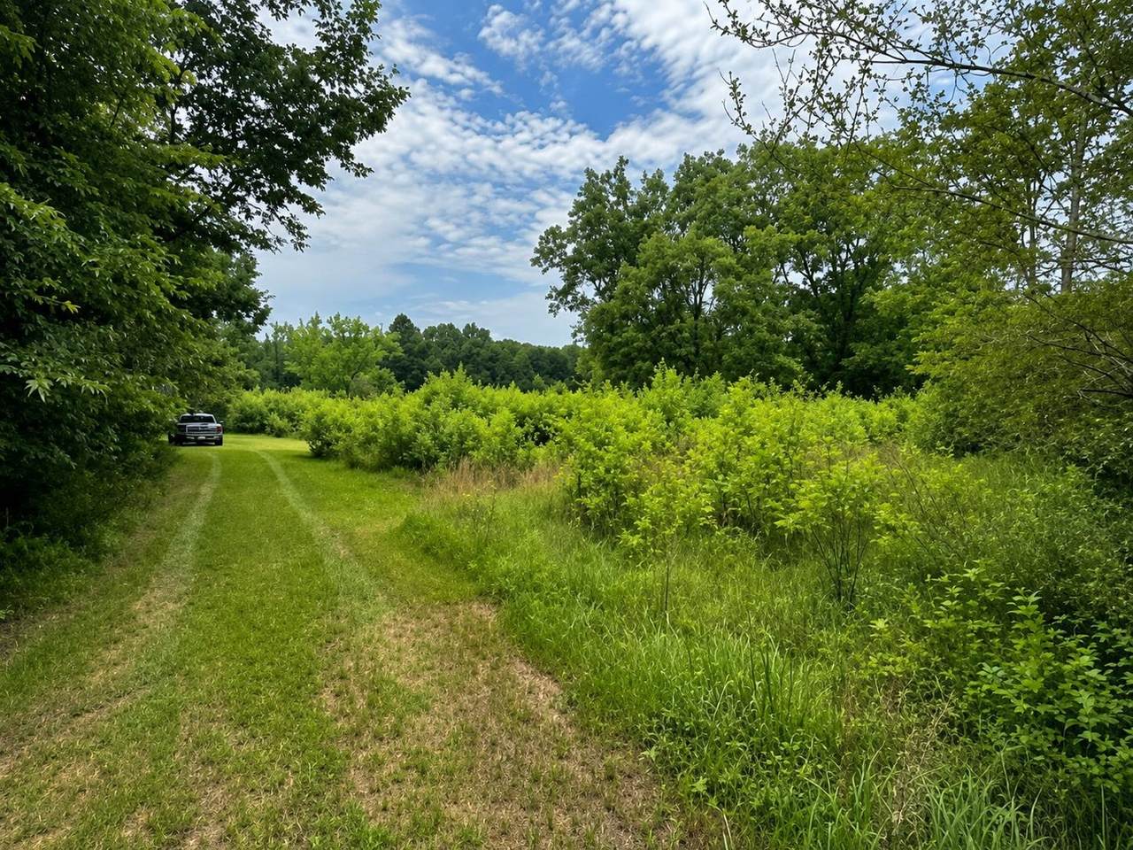 https://bt-photos.global.ssl.fastly.net/shoals/1280_boomver_1_529873-1.jpg