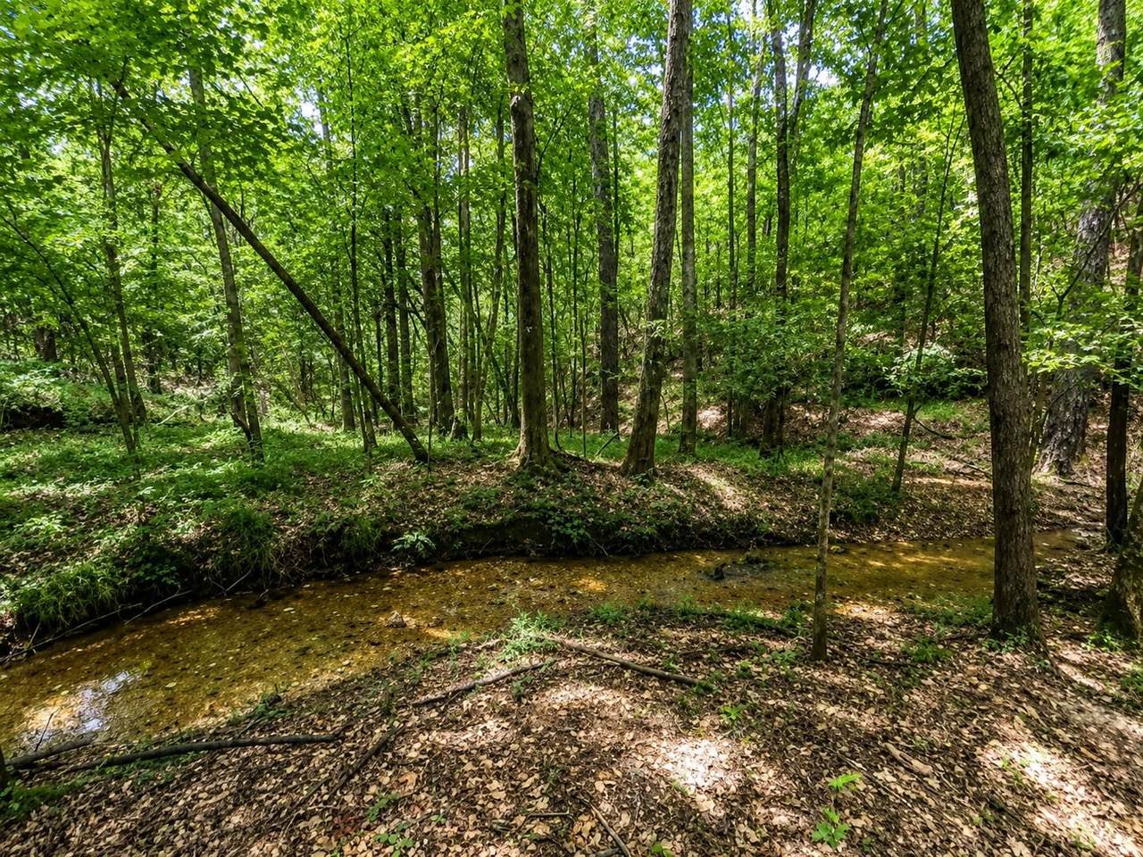https://bt-photos.global.ssl.fastly.net/shoals/1280_boomver_1_529873-1.jpg