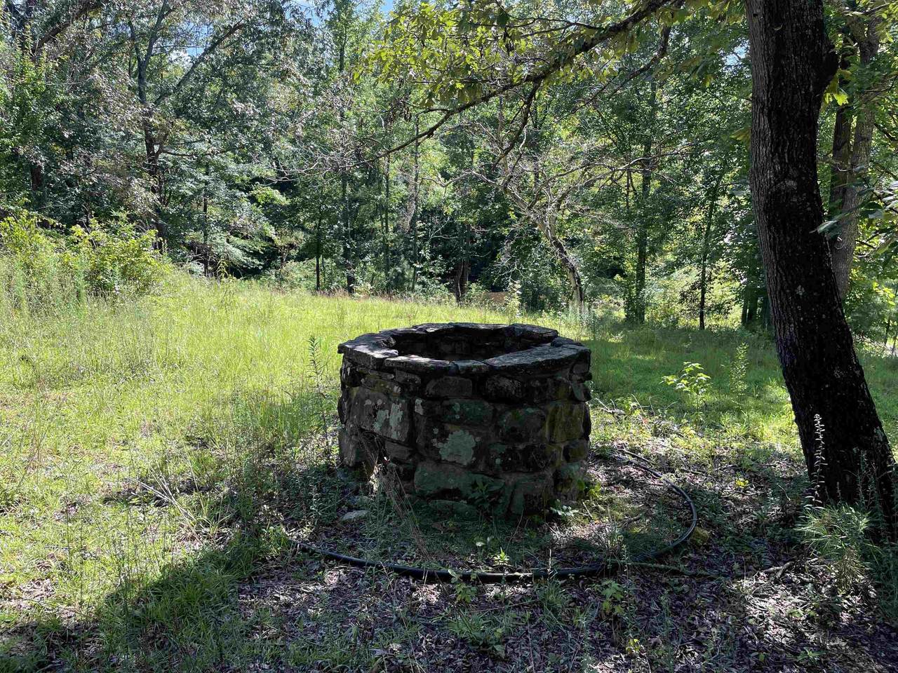 https://bt-photos.global.ssl.fastly.net/shoals/1280_boomver_1_530243-1.jpg