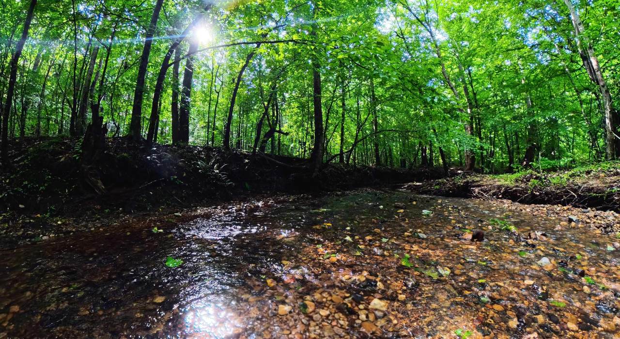 995 Indian Springs Rd - Photo 1