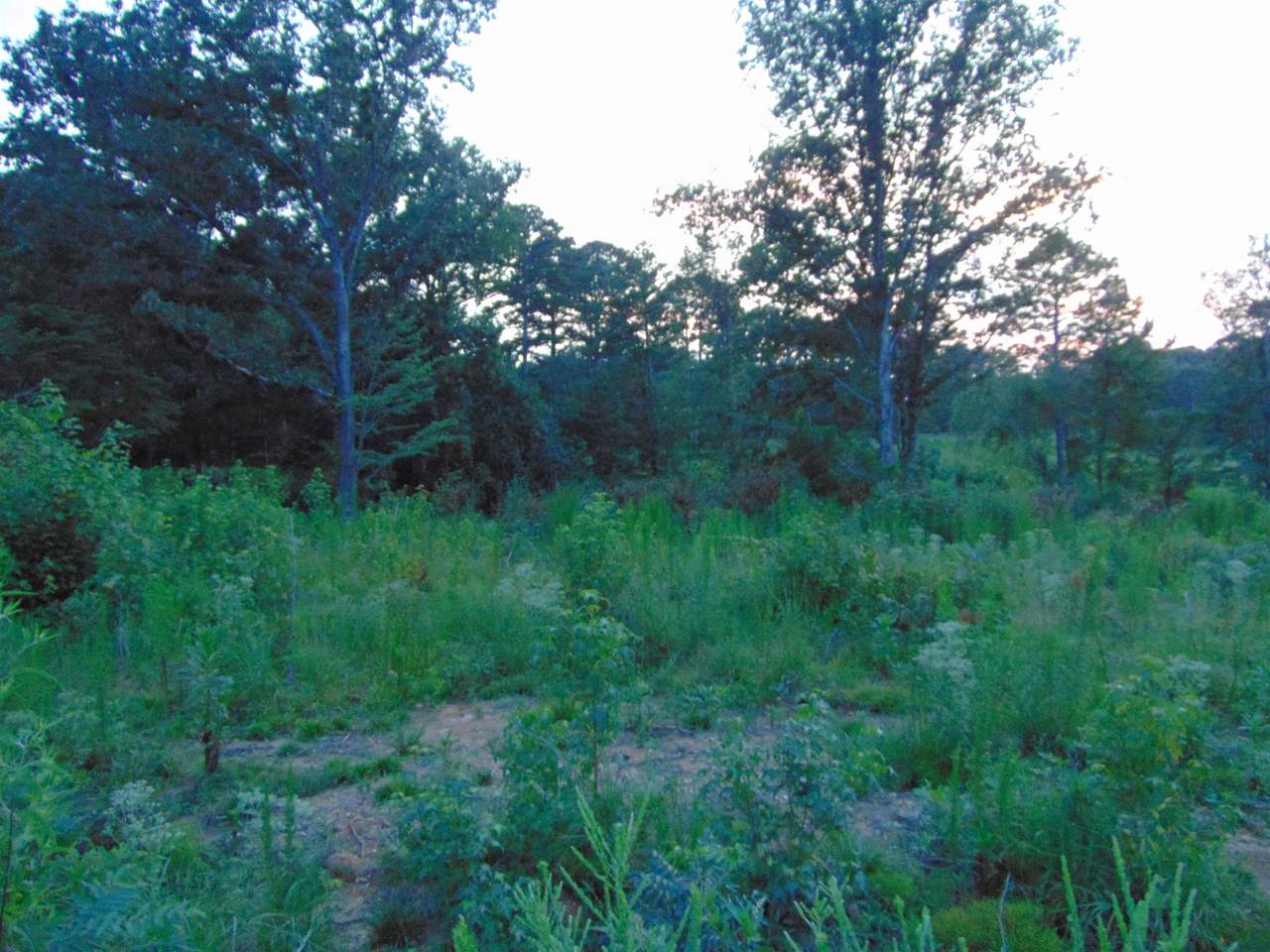 https://bt-photos.global.ssl.fastly.net/shoals/1280_boomver_1_530315-1.jpg