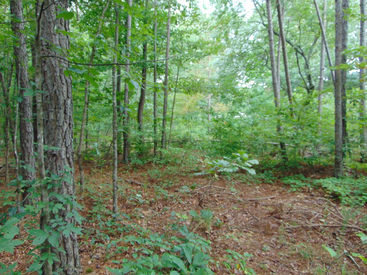 https://bt-photos.global.ssl.fastly.net/shoals/1280_boomver_1_530395-1.jpg