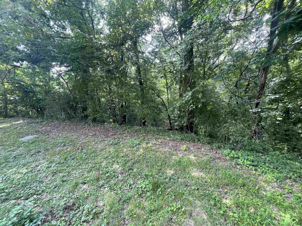 0 Dora Dr - Photo 1