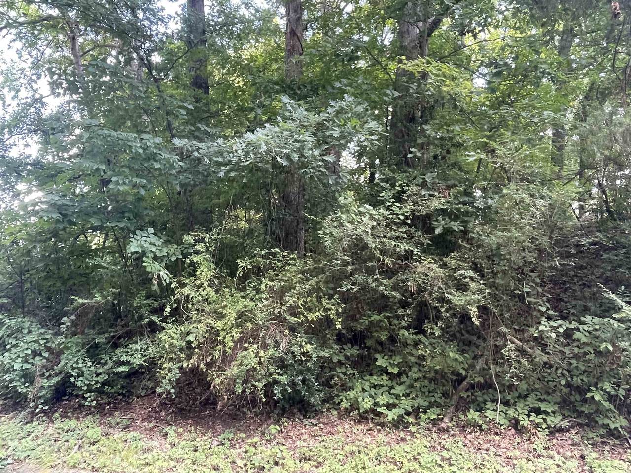 https://bt-photos.global.ssl.fastly.net/shoals/1280_boomver_1_530552-1.jpg