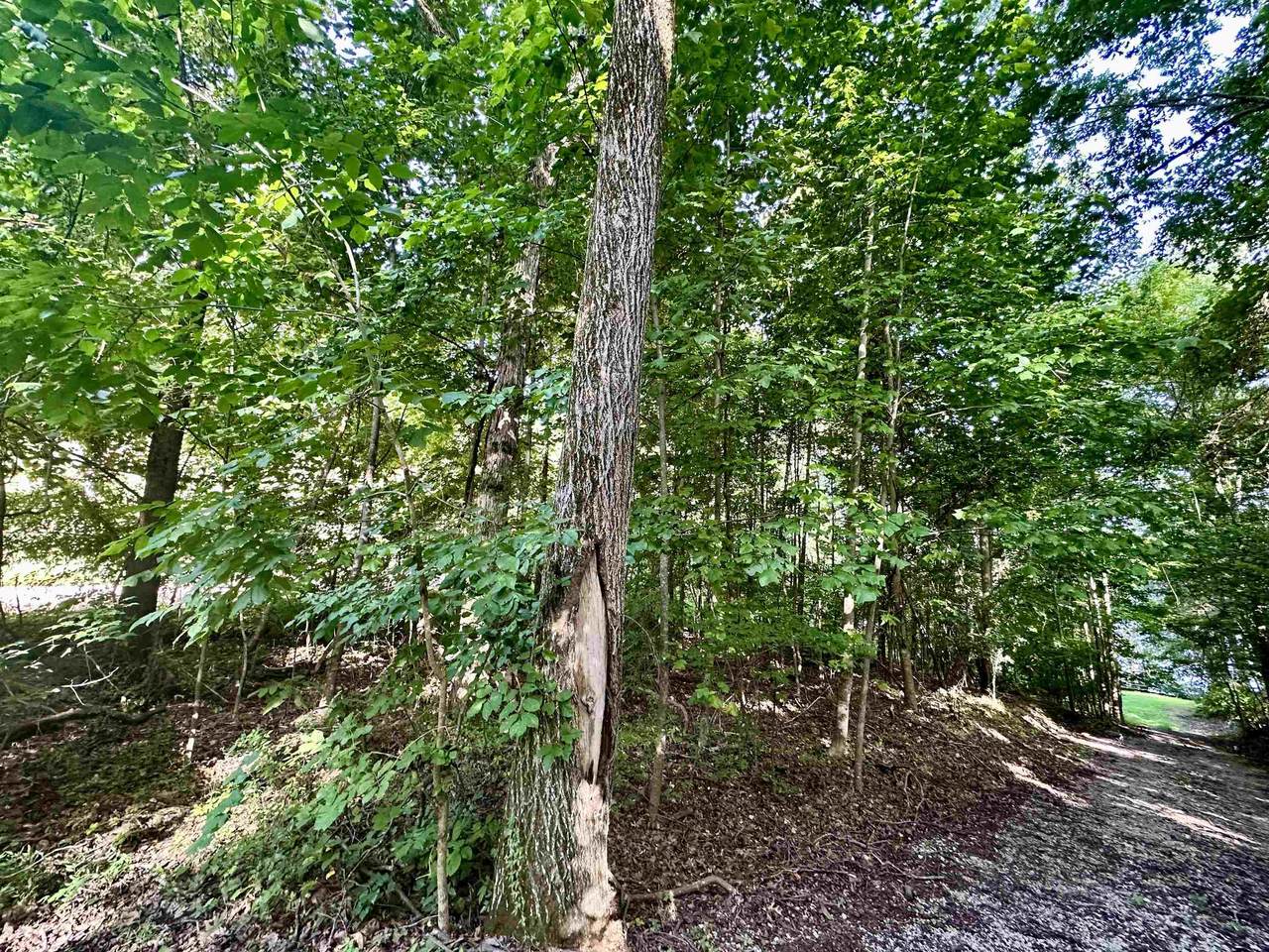 https://bt-photos.global.ssl.fastly.net/shoals/1280_boomver_1_530682-1.jpg