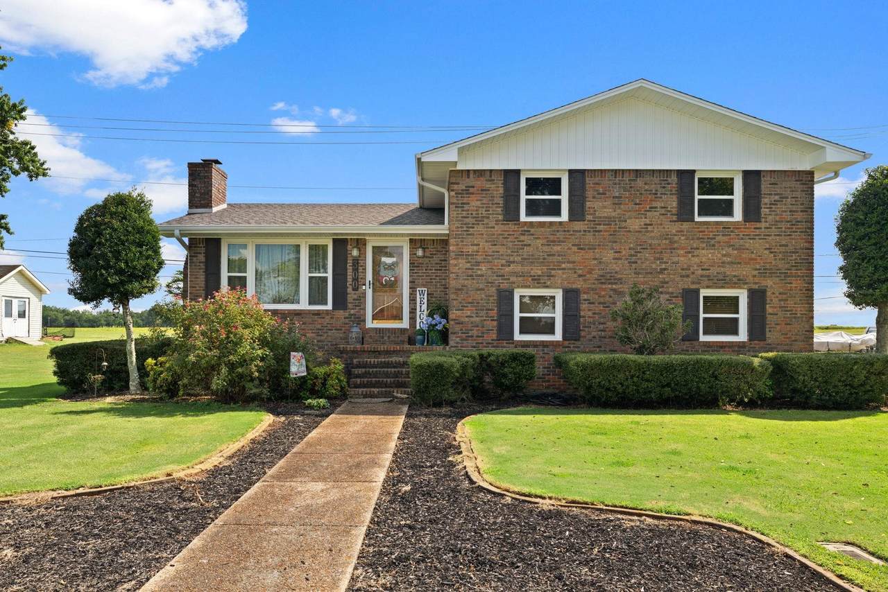 300 Monroe Ave - Photo 1