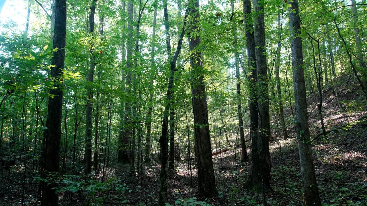 2 Ables Rd - Photo 1