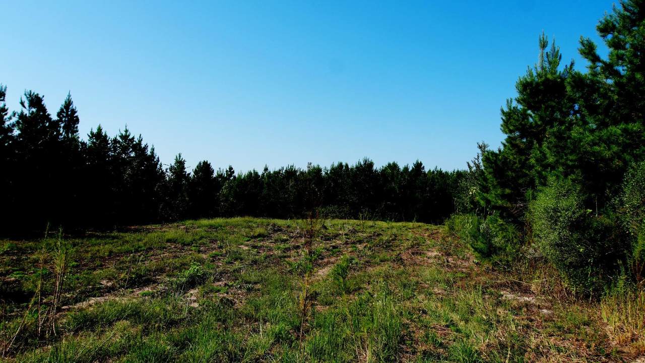 https://bt-photos.global.ssl.fastly.net/shoals/1280_boomver_1_531464-1.jpg