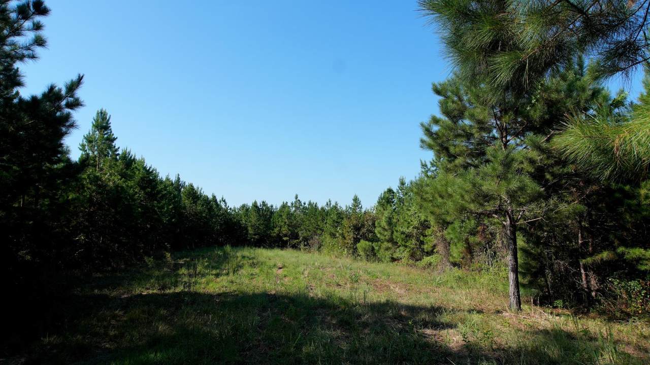 https://bt-photos.global.ssl.fastly.net/shoals/1280_boomver_1_531464-1.jpg