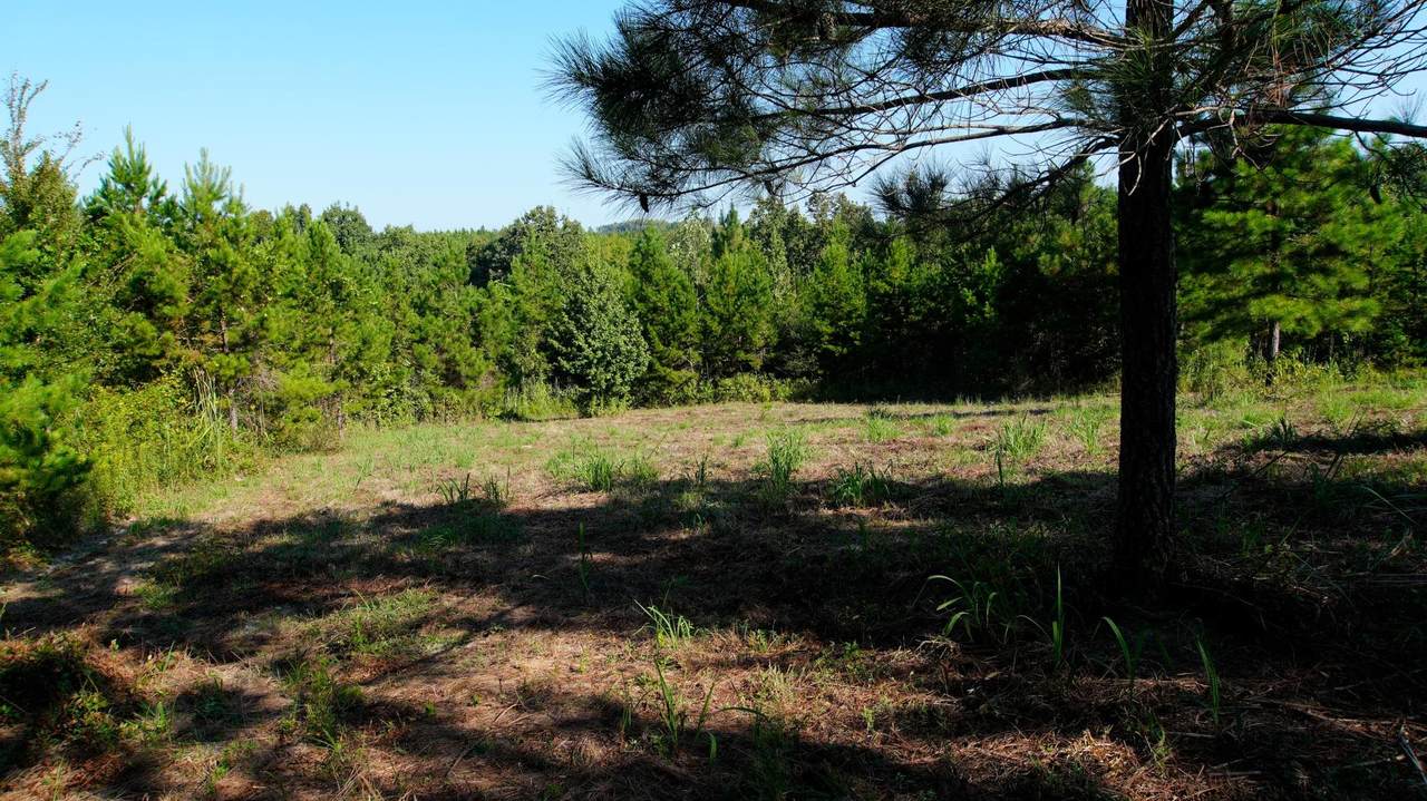 1 Ables Rd - Photo 1