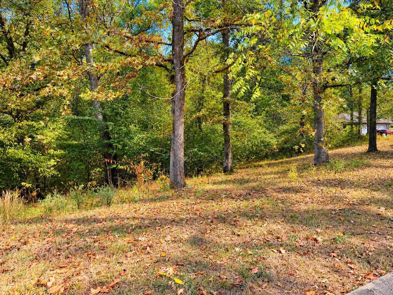 0 Wildwood Trl - Photo 1