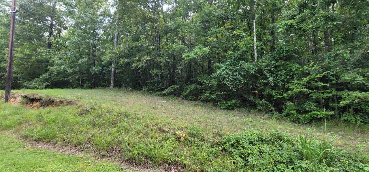 00 Quail Run - Photo 1