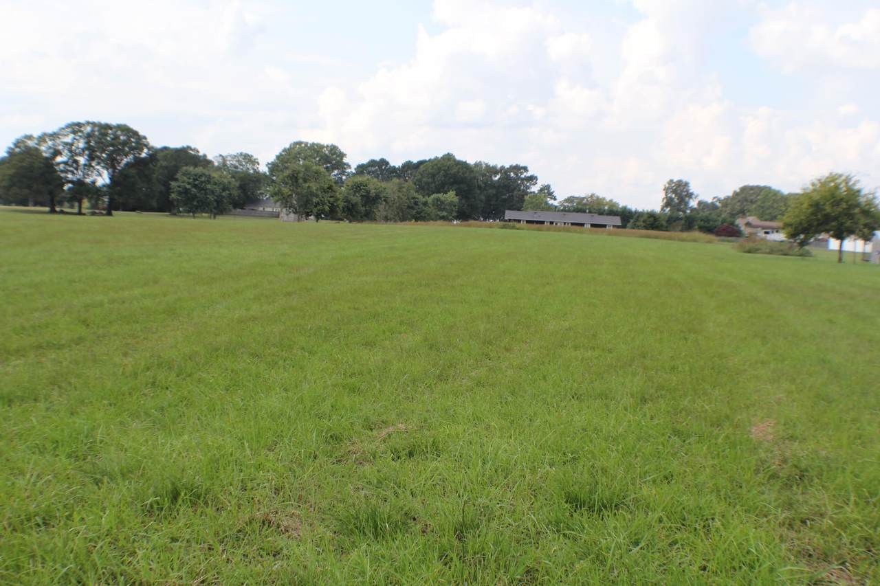 0 Co Rd 388 - Photo 1