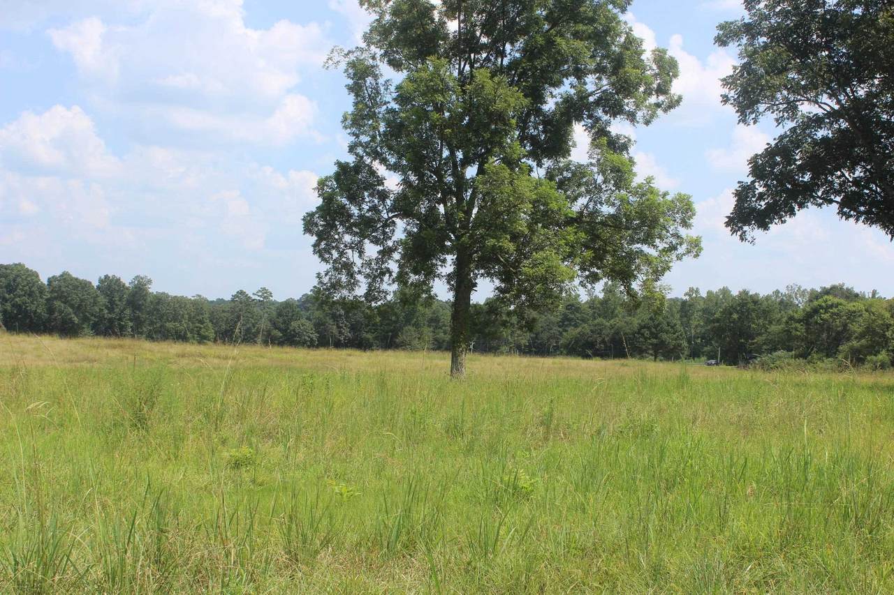 12775 Co Rd 747 - Photo 1