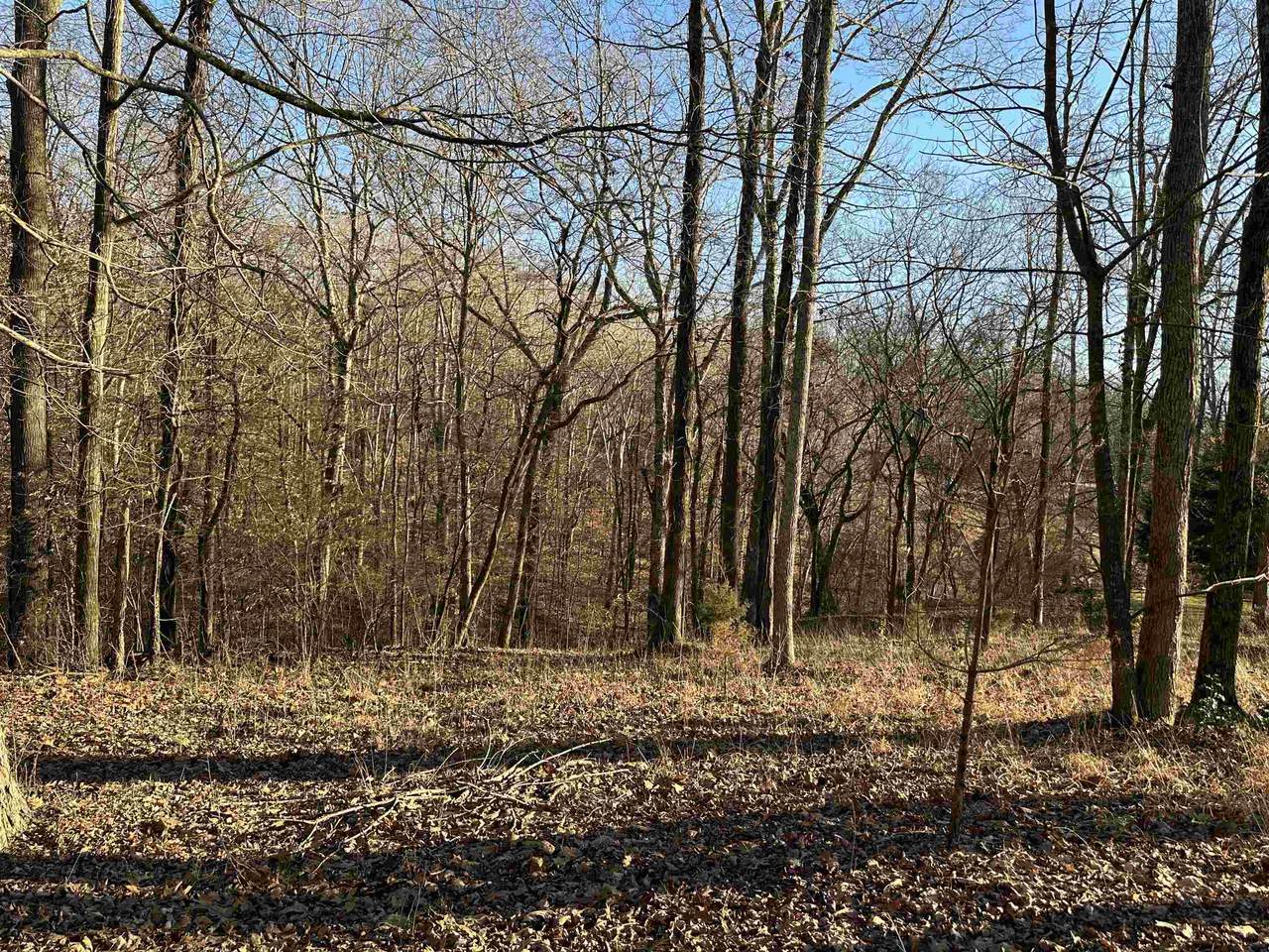 32 Co Rd 405 - Photo 1