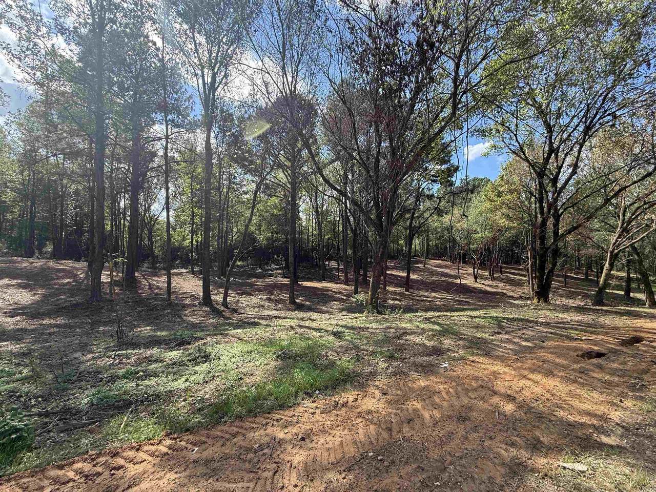 232 Co Rd 1123 - Photo 1