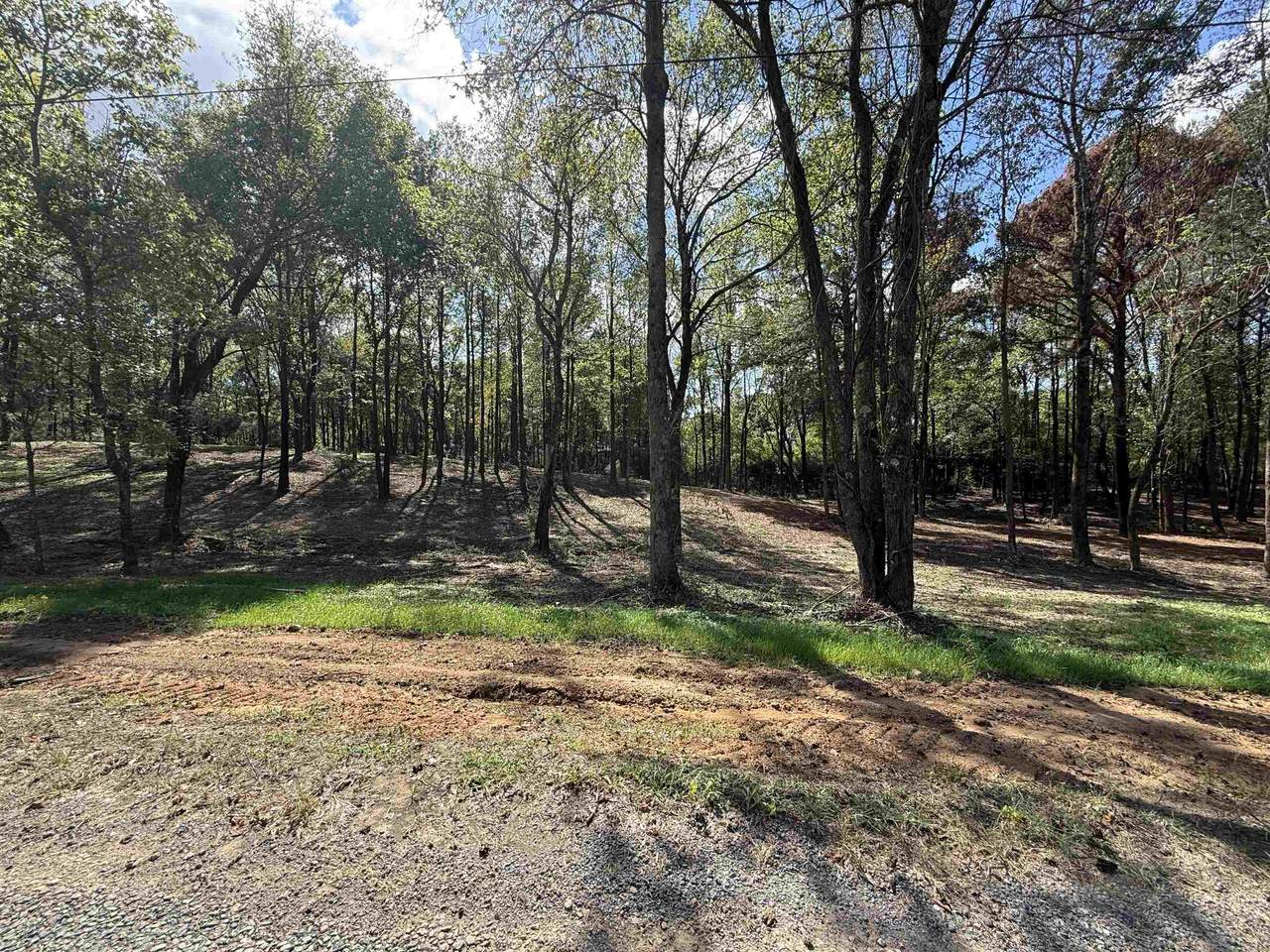288 Co Rd 1123 - Photo 1