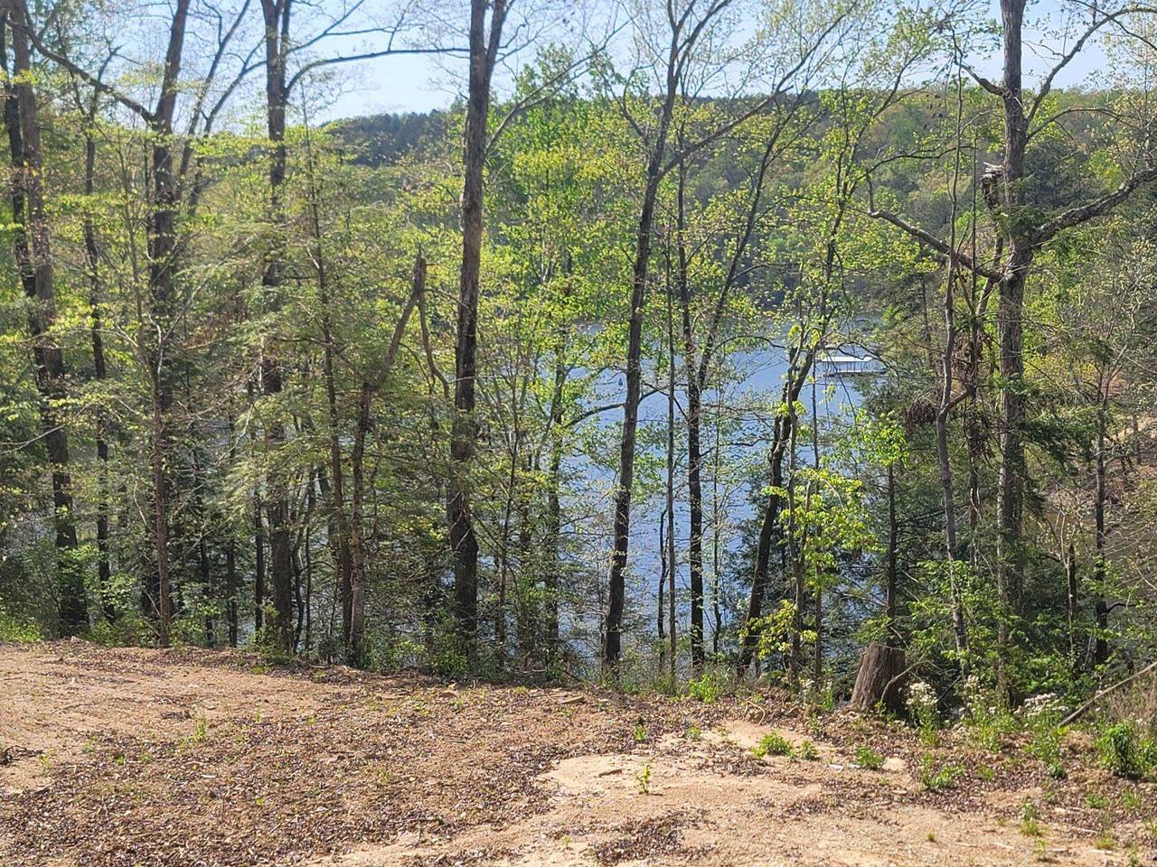https://bt-photos.global.ssl.fastly.net/shoals/1280_boomver_2_526349-1.jpg