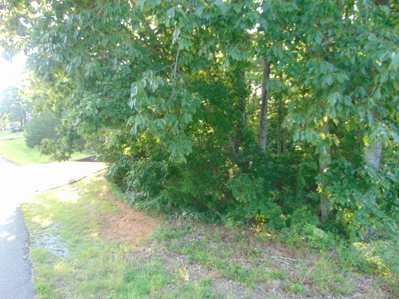 https://bt-photos.global.ssl.fastly.net/shoals/1280_boomver_2_530190-1.jpg
