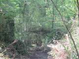0 Honeycomb Rd - Photo 13
