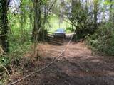 0 Honeycomb Rd - Photo 4
