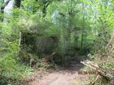 0 Honeycomb Rd - Photo 6