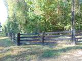 lot 21 Lingerlost Rd - Photo 3
