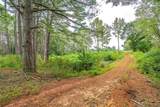 Tract 1 Alabama Hwy 99 - Photo 11