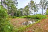 Tract 1 Alabama Hwy 99 - Photo 5